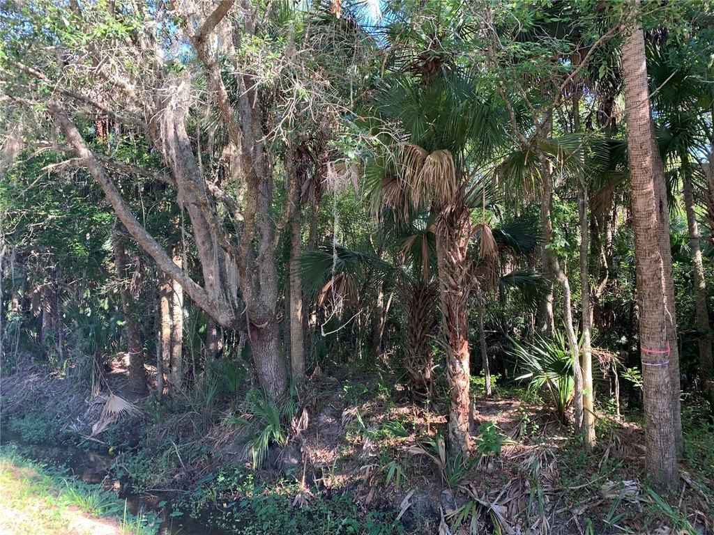 Picture 5