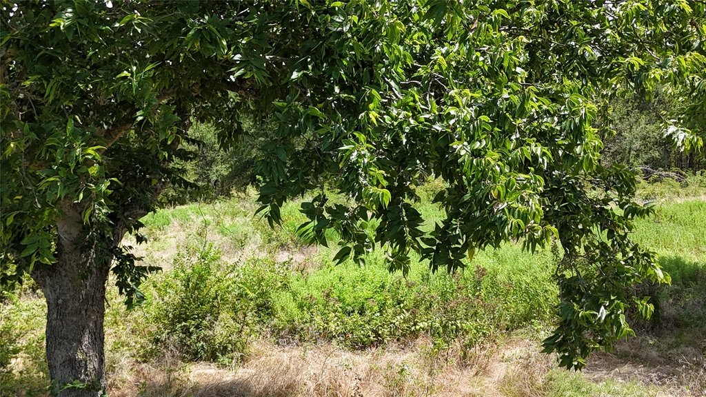 Picture 27