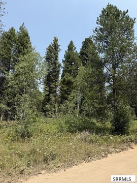 Land, Island Park, ID