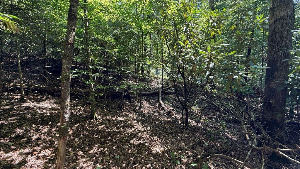 Picture 14