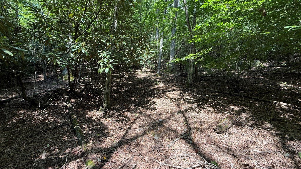 Picture 25