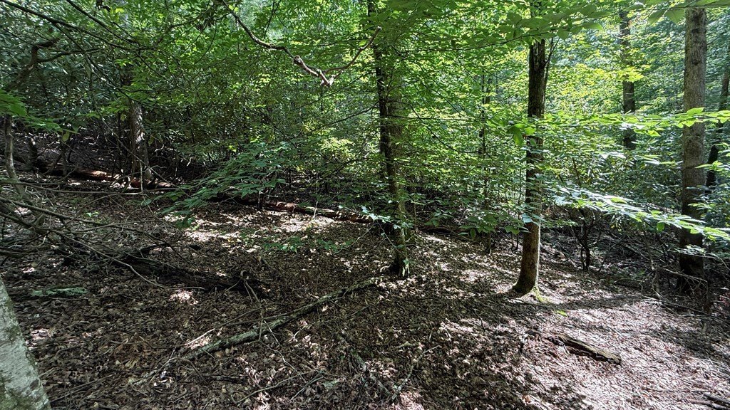 Picture 17