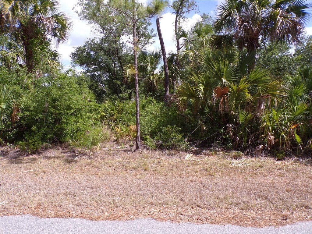 Picture 5