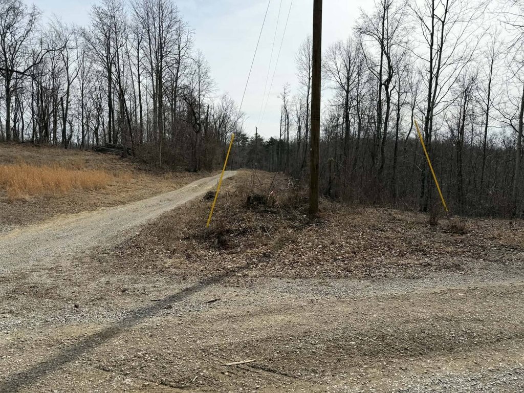 Picture 10