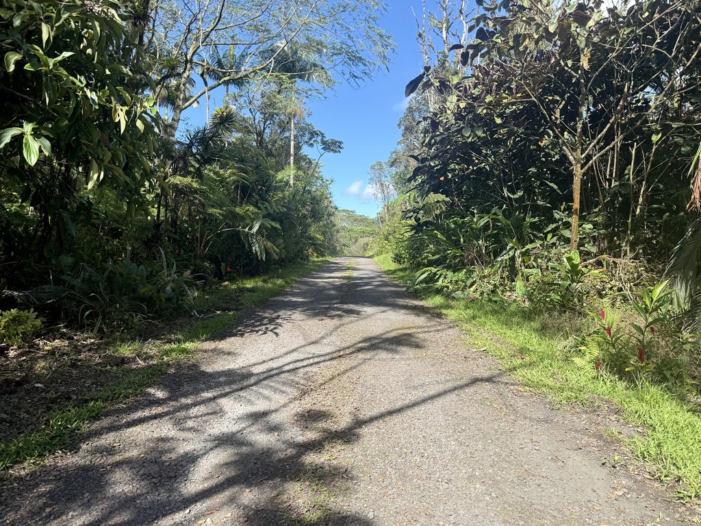 Picture 20