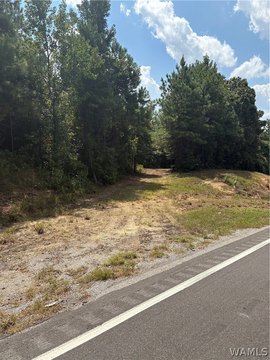 Land, Fayette, AL