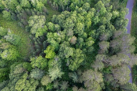 Eagle River Acreage for Sale