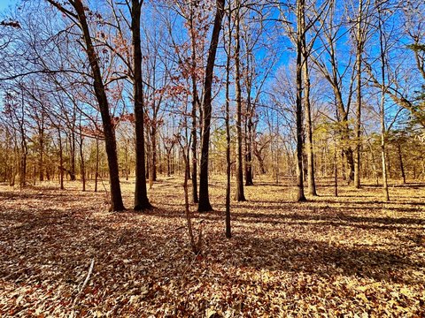 Waterfront Hunting and Recreation Land