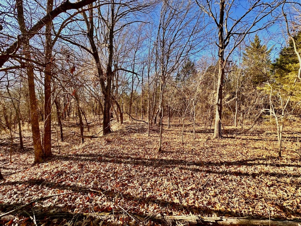 Picture 9