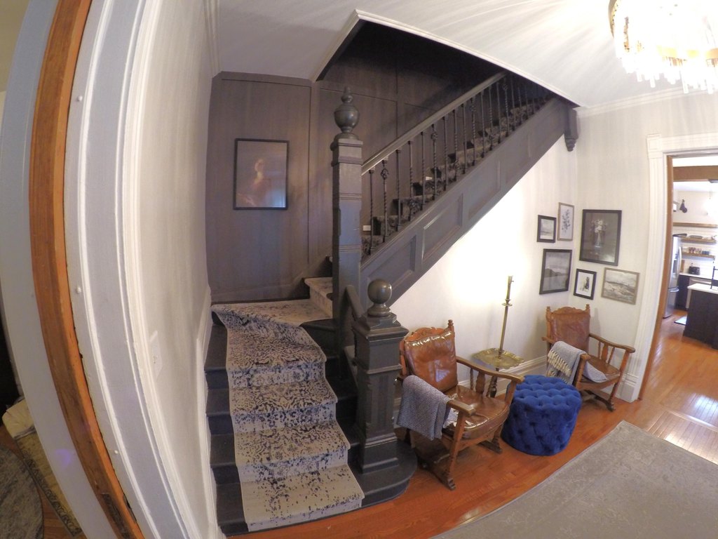 Picture 24