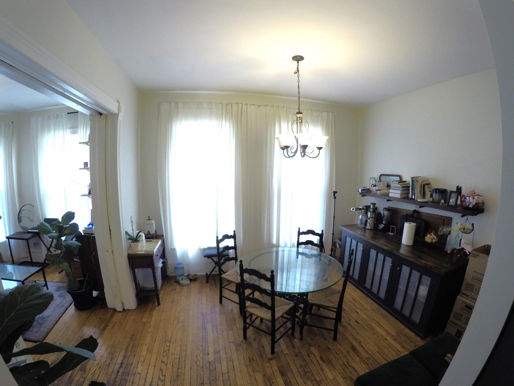 Picture 41