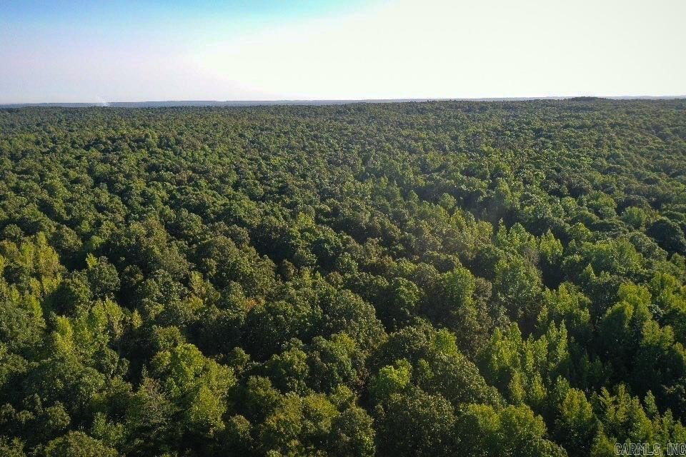 Hardwood Timberland on Crowley's Ridge