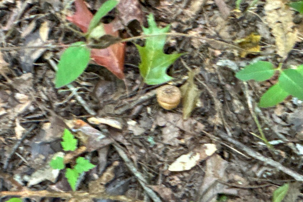 Picture 11