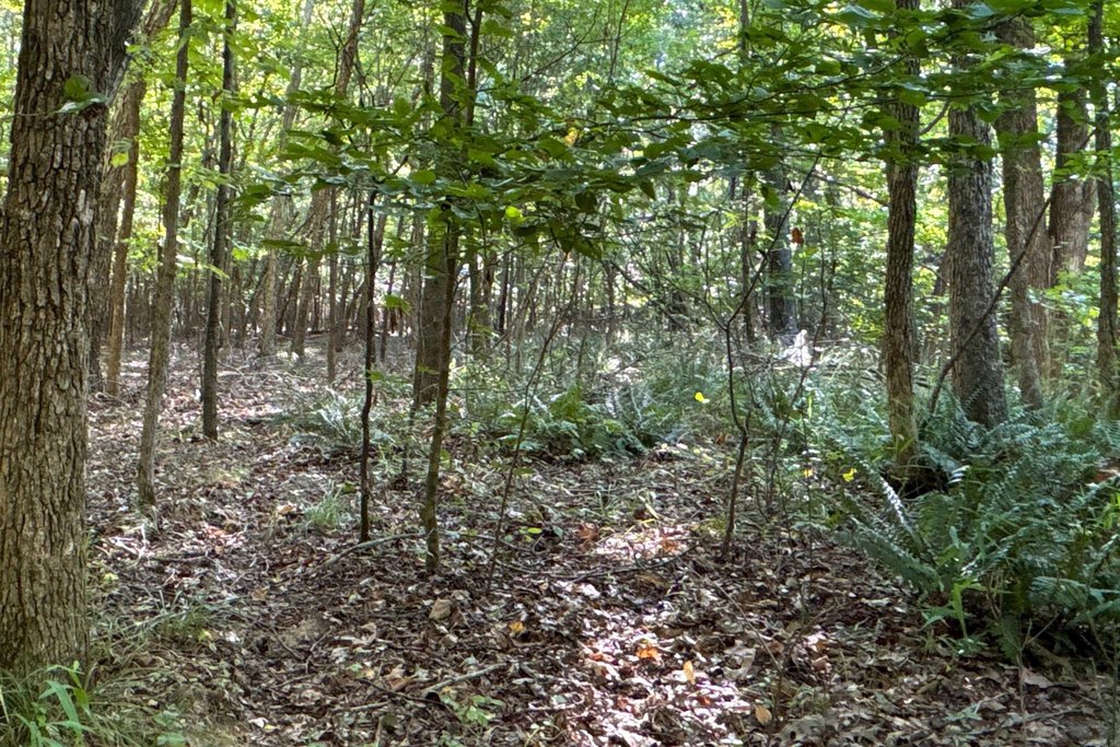 Picture 25