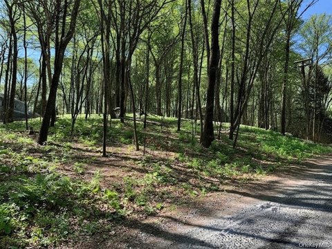 Land, Pawling, NY