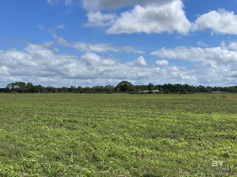 Agricultural Land with Railroad Frontage