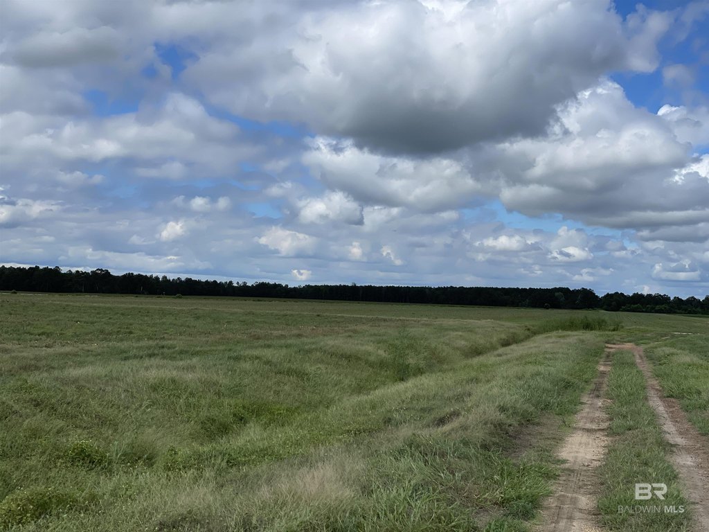 Picture 29