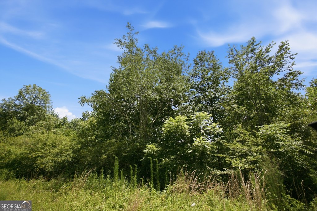 Picture 45