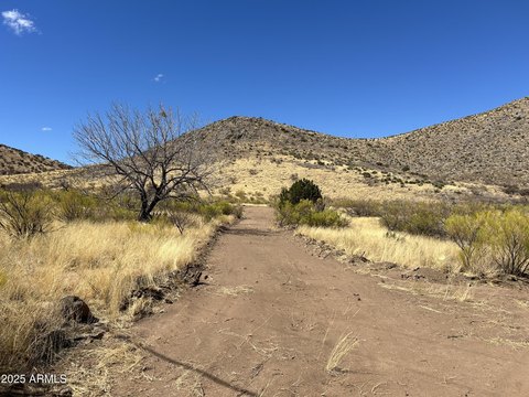 Hereford, AZ Land Parcel