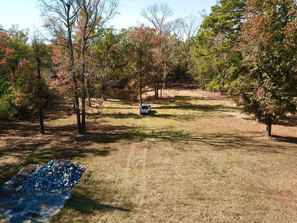 Picture 9