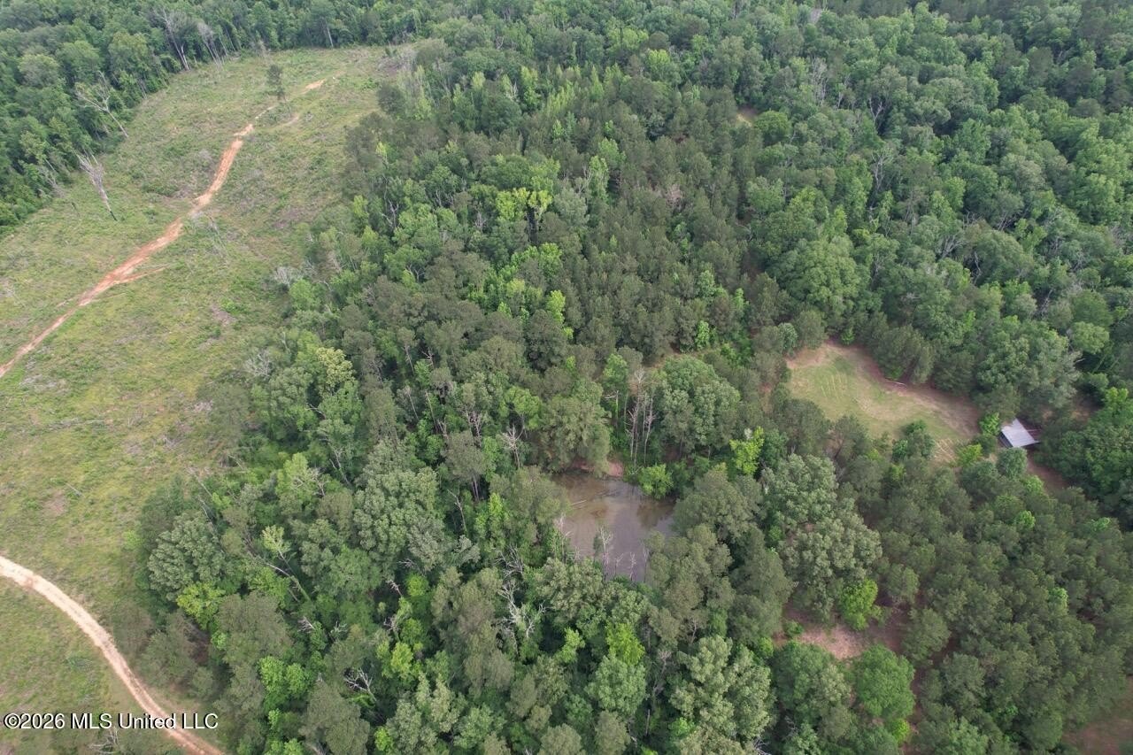 Secluded Land with Pond and Utilities