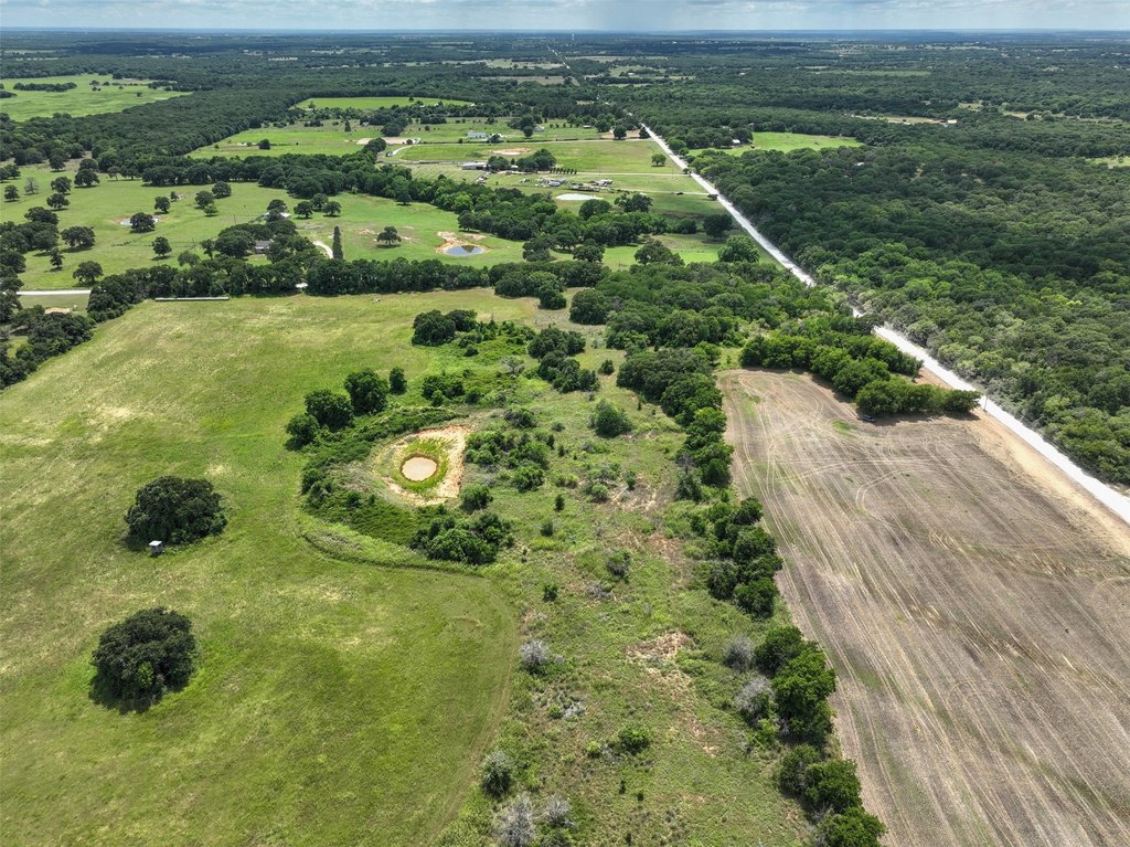 Picture 3