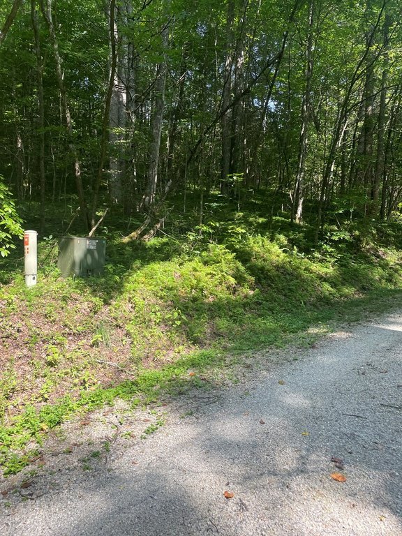 Picture 5