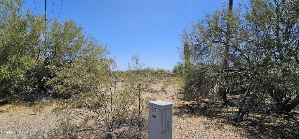 Picture 19