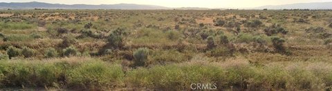 19 Acres Flat Usable Land