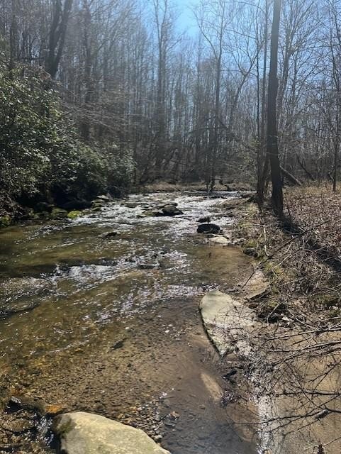 Talking Rock Wooded Acreage