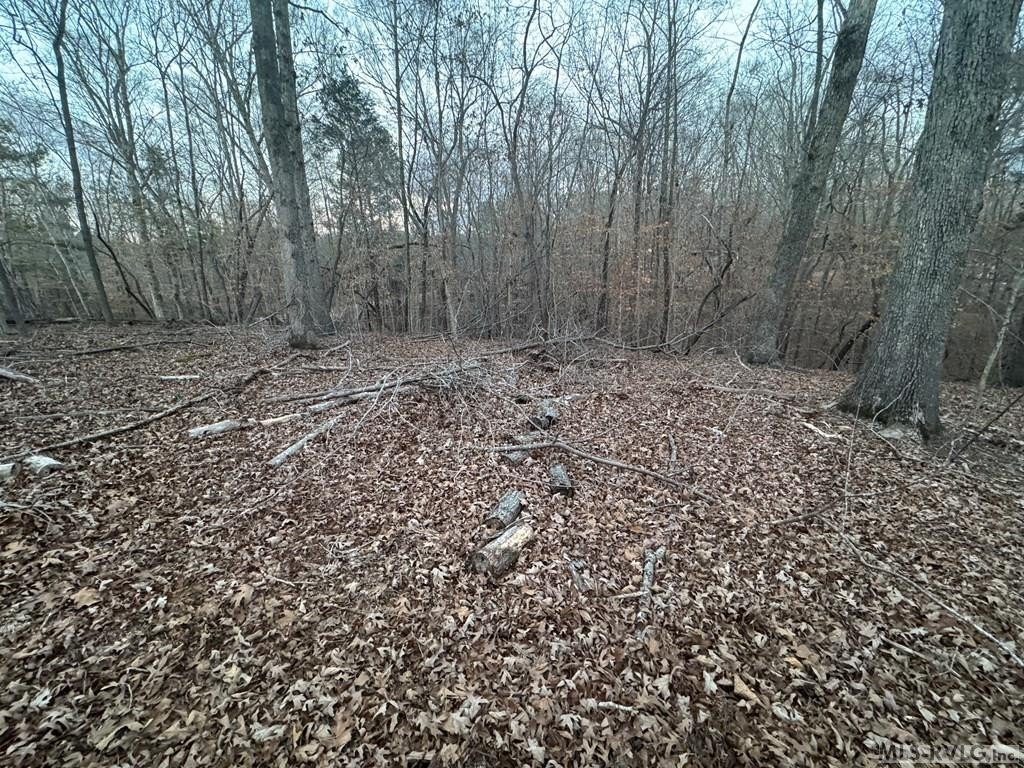 Picture 21