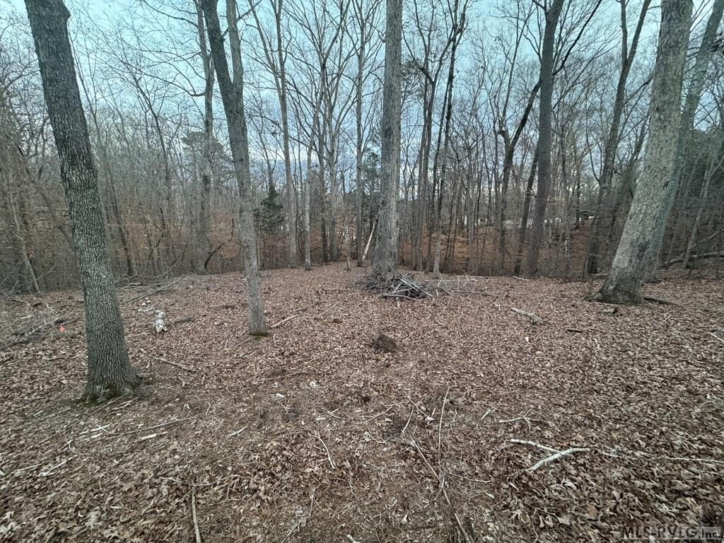Picture 12