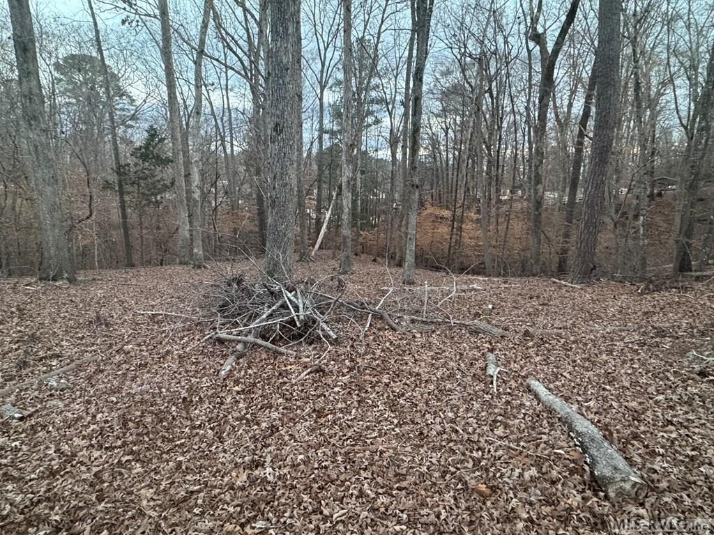 Picture 14