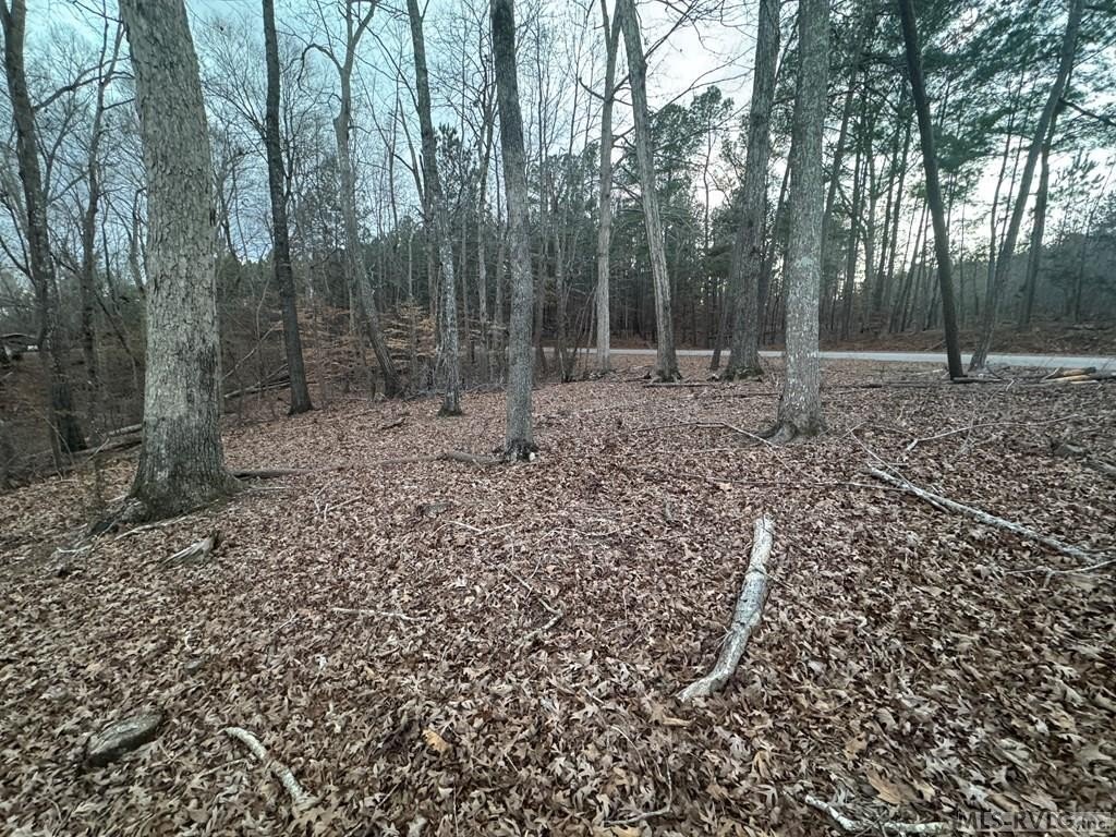 Picture 17