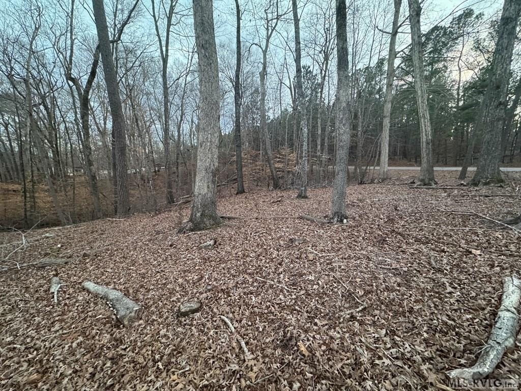 Picture 18