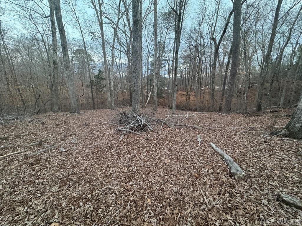 Picture 13