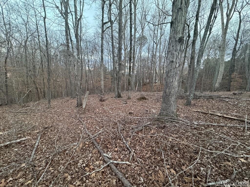 Picture 10
