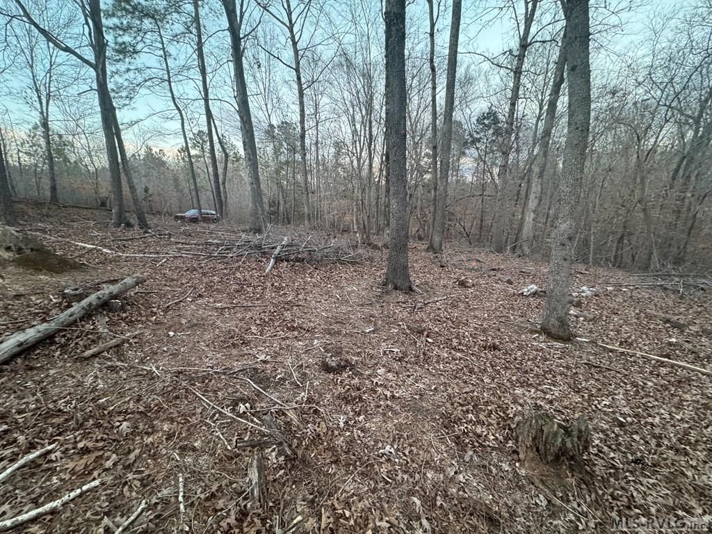 Picture 16