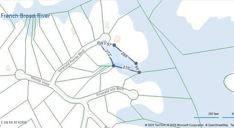 Lakefront Lot on Douglas Lake