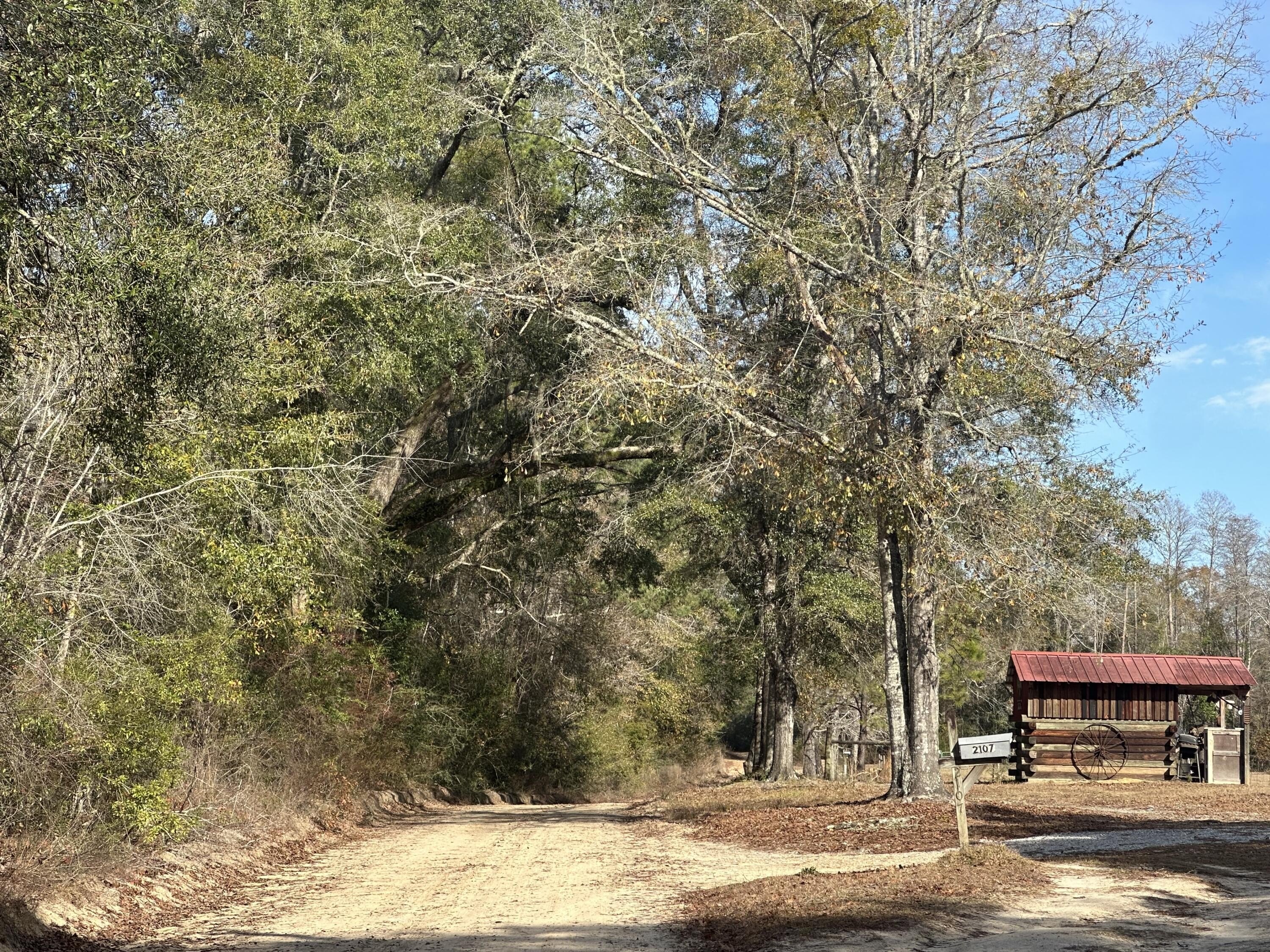 37 Acres Hunting Land Near Bonifay