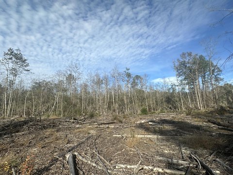 37.29 Acres of Prime Land