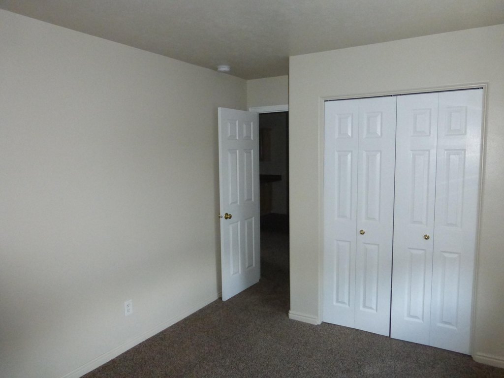 Picture 41