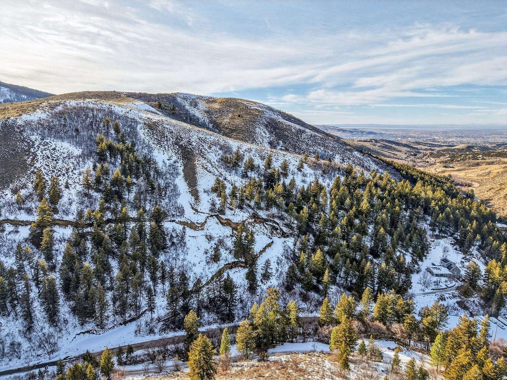 Picture 3