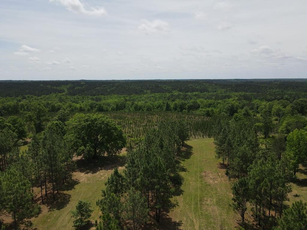 295 Acres Recreational Land, Elba