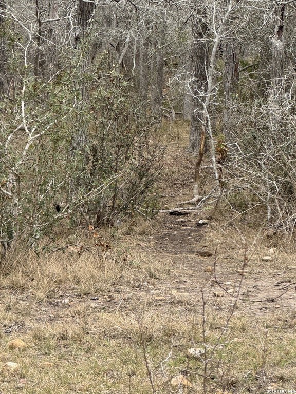 Picture 12