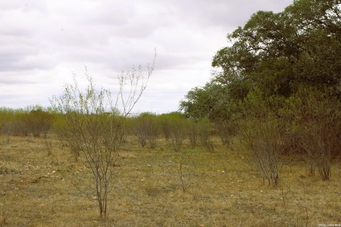 LAND - Kingsbury, TX