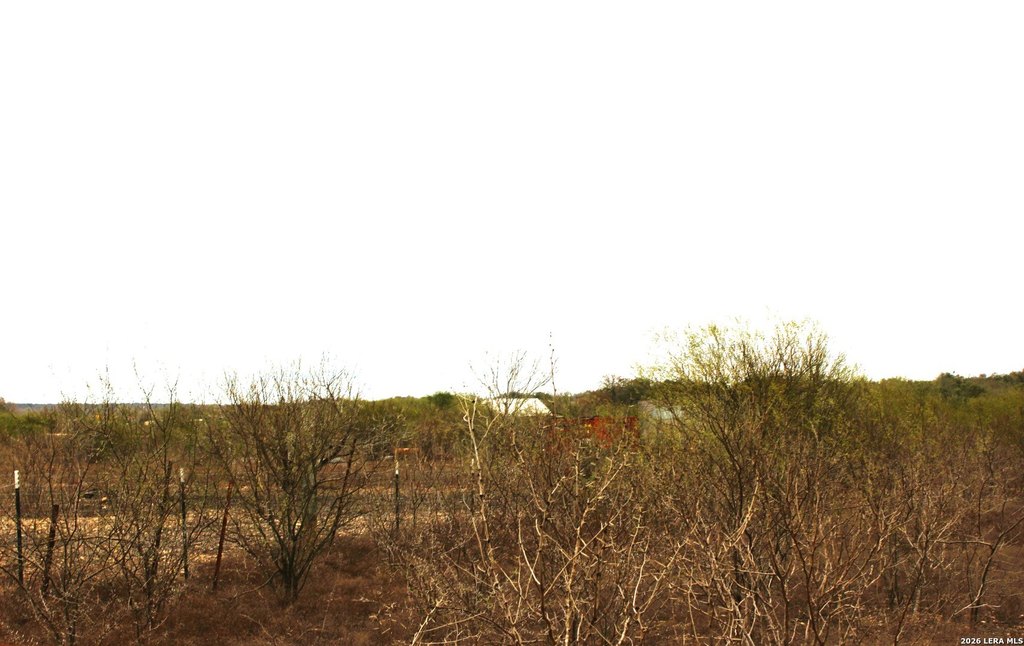 Picture 7