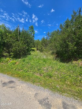 Midway, TN Land Opportunity