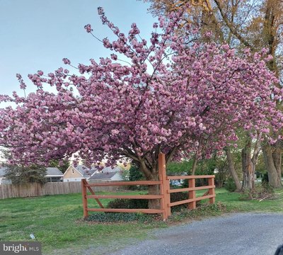 Land, PENNSVILLE, NJ