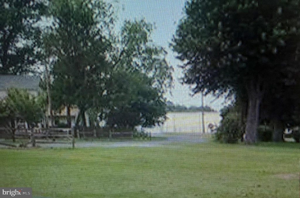 Picture 7